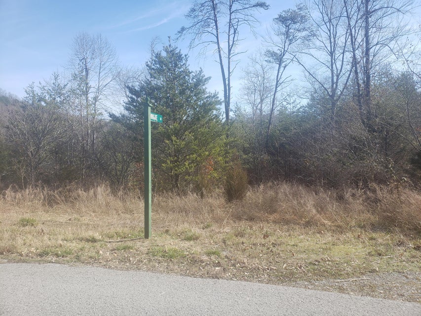 Photo #15: Lot 868 Clearwater Road