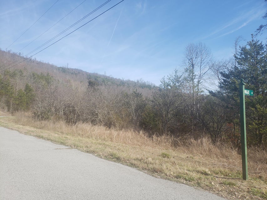 Photo #21: Lot 868 Clearwater Road