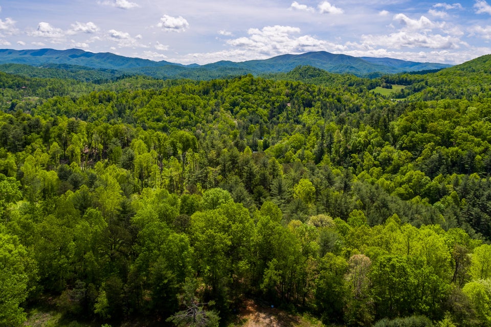 Photo #14: Lot 6 Canaan Road