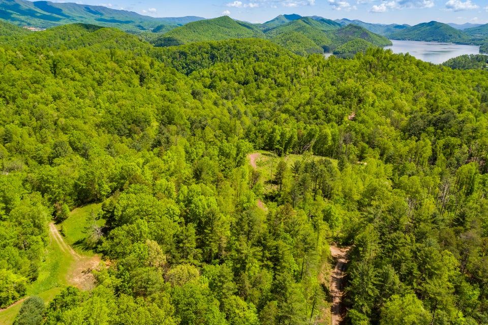Photo #25: Lot 7 Canaan Road