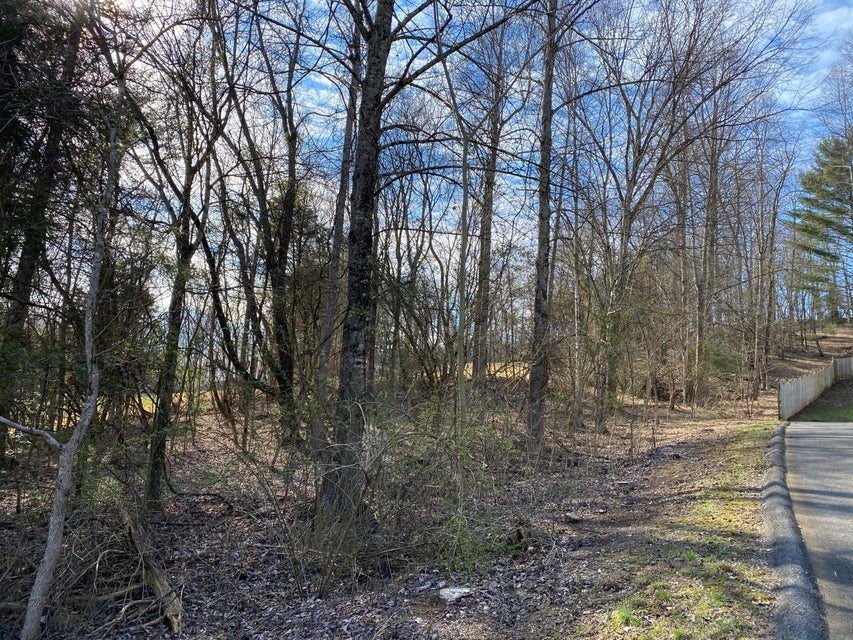 Photo #5: Tbd Herron Drive