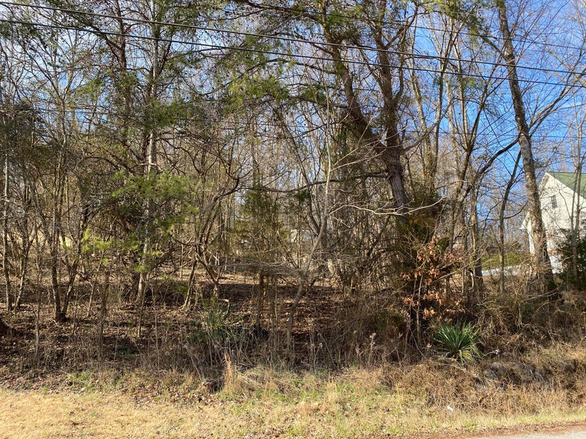 Photo #7: Tbd Herron Drive
