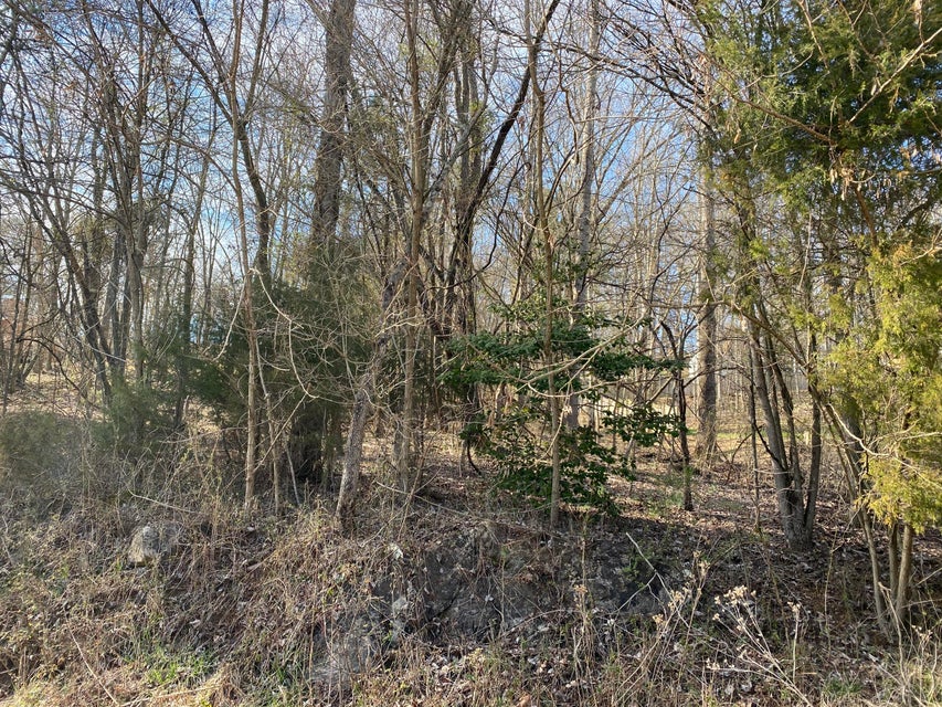 Photo #8: Tbd Herron Drive