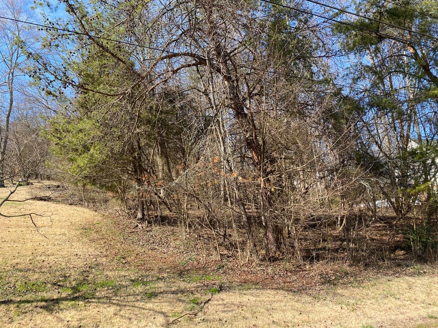 Photo #2: Tbd Herron Drive