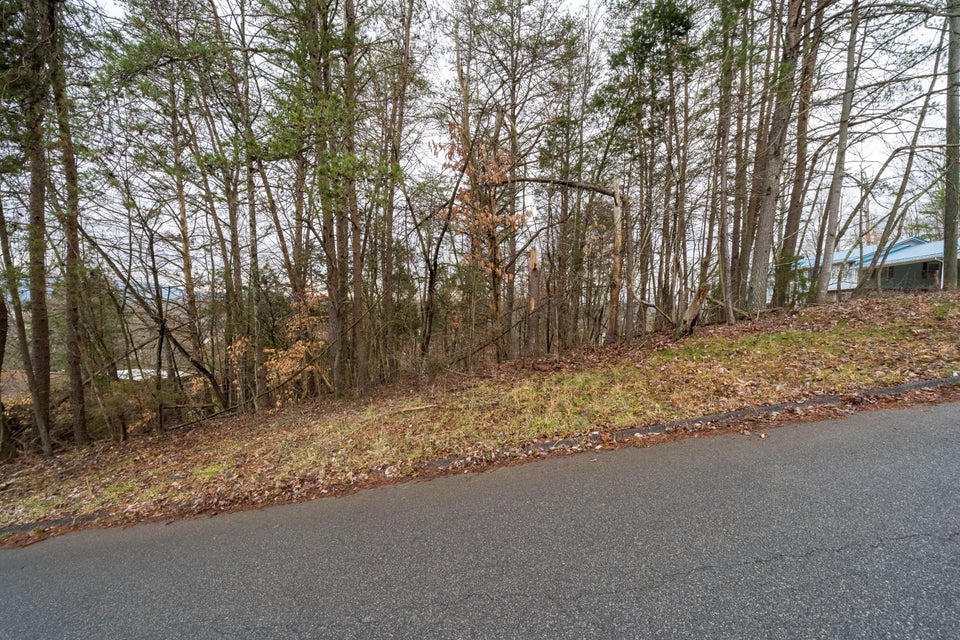 Photo #3: Lot 52 Seven Oaks Drive