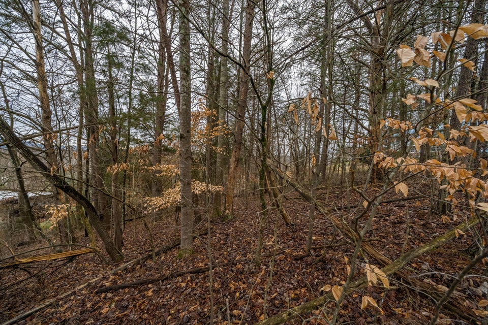 Photo #5: Lot 52 Seven Oaks Drive
