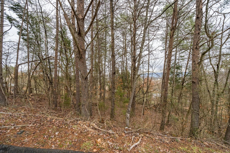 Photo #6: Lot 52 Seven Oaks Drive