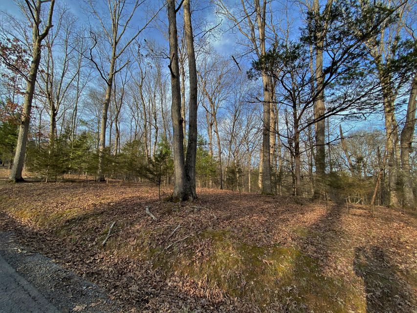 Photo #2: Lots 46-47 Emerald Way