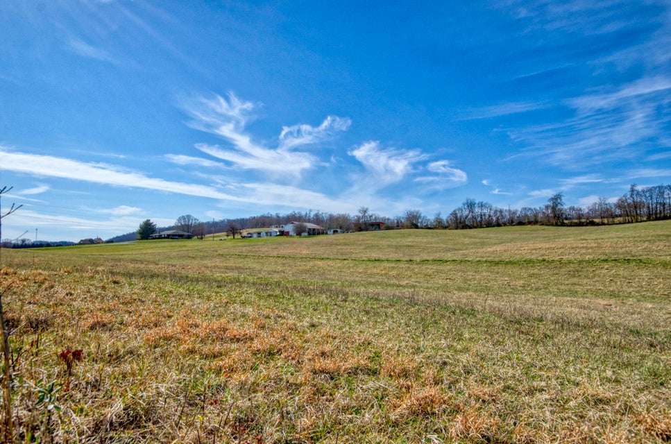Photo #4: 11845 Kingsport Highway