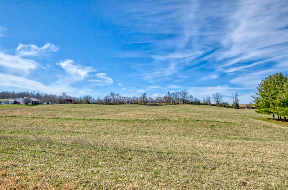 Photo #6: 11845 Kingsport Highway