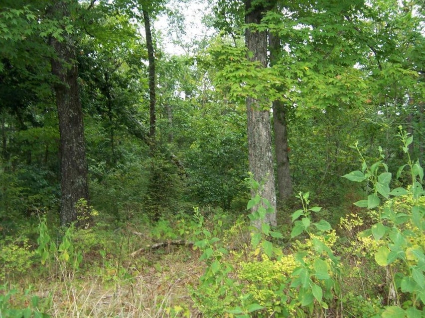 Photo #1: 0 Lake Pointe Drive Lots 6 & 6a