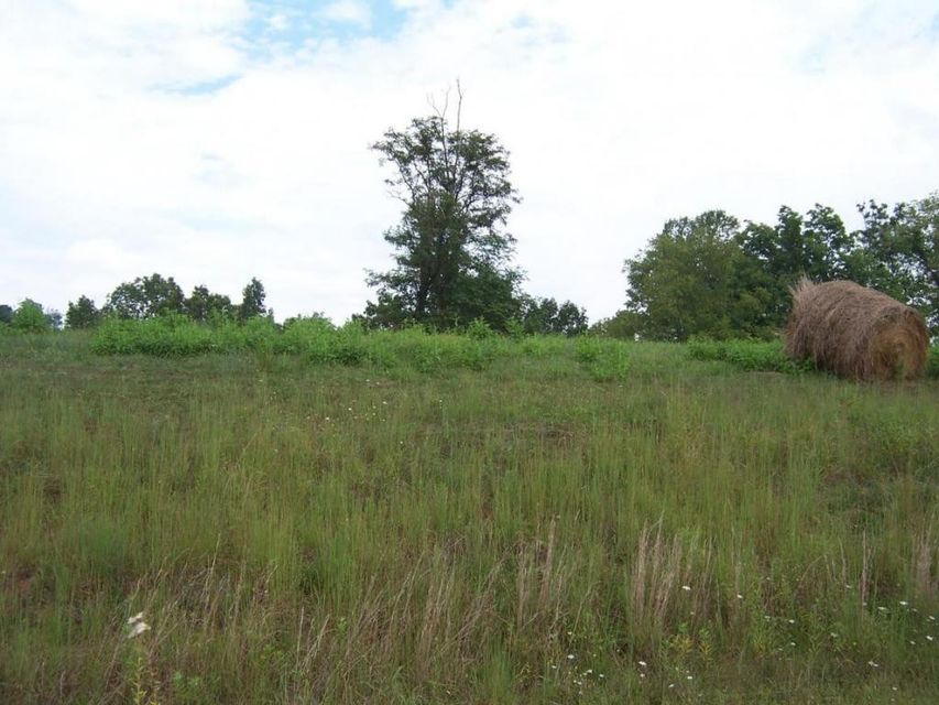 Photo #1: 0 Lake Bend Court, Lot 31