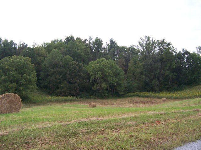 Photo #1: 0 Lake Bend Court, Lot 22