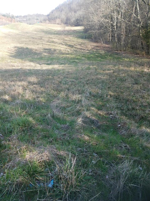 Photo #5: Lot 9 W Andrew Johnson Highway