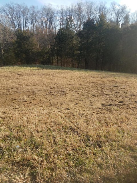 Photo #4: Lot 9 W Andrew Johnson Highway