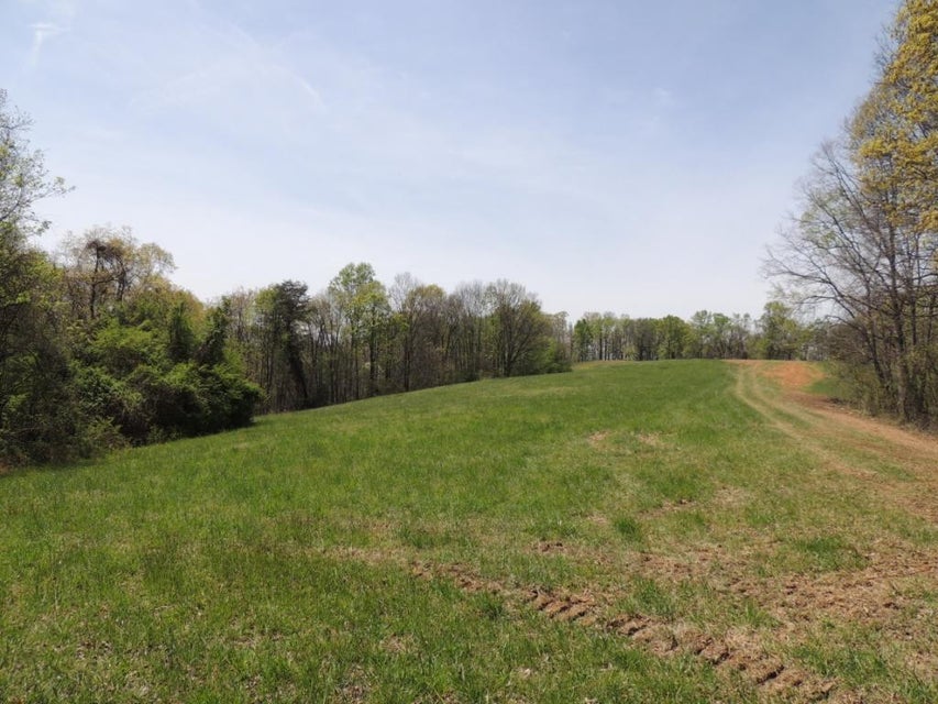 Photo #2: 0000 Tuggle Hill Road