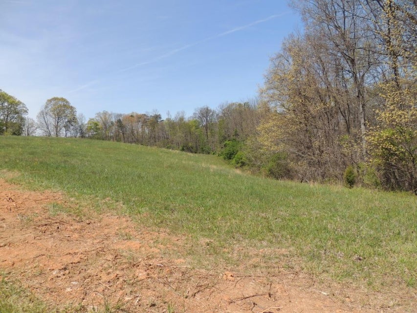 Photo #3: 0000 Tuggle Hill Road
