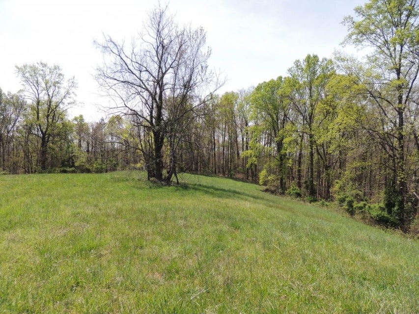 Photo #4: 0000 Tuggle Hill Road