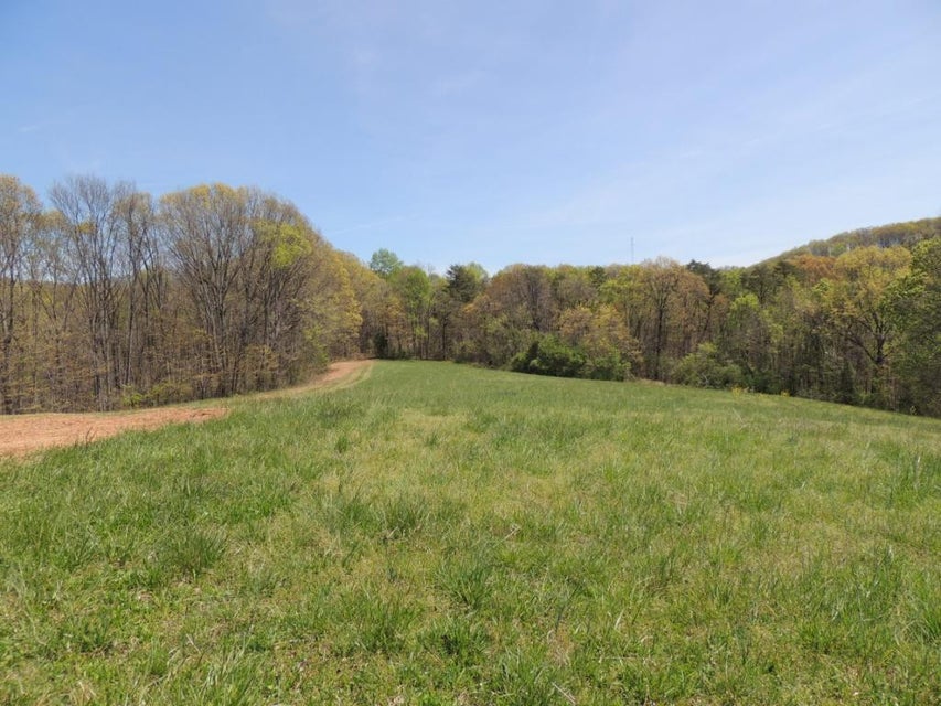 Photo #5: 0000 Tuggle Hill Road