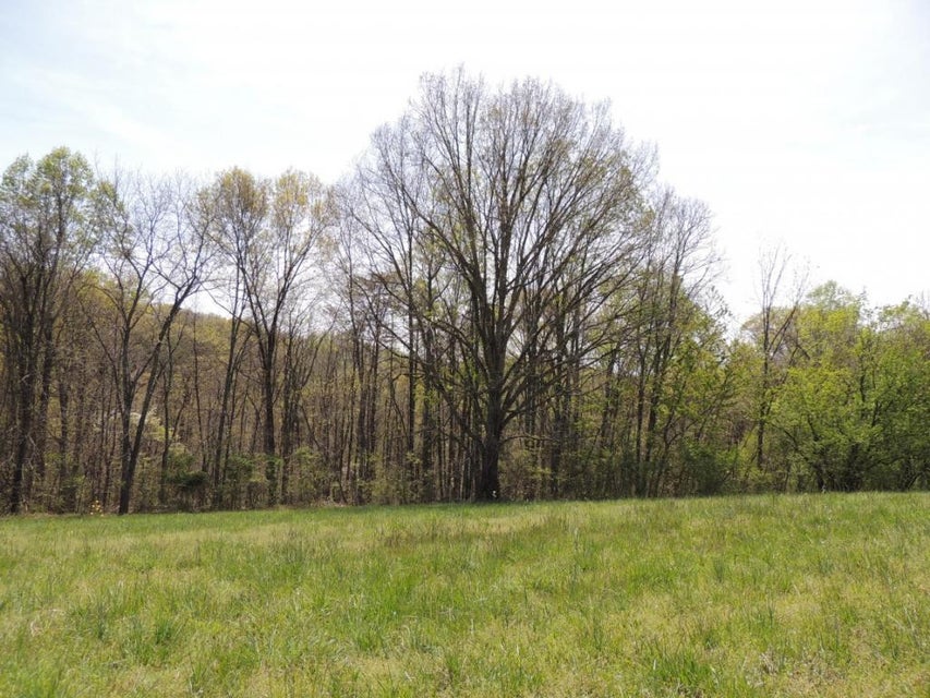 Photo #6: 0000 Tuggle Hill Road