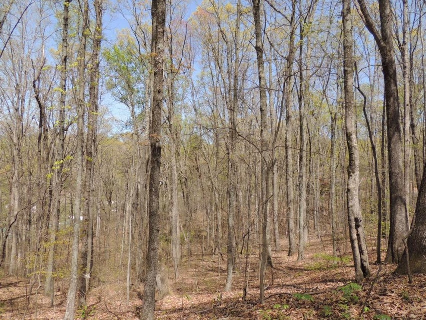 Photo #12: 0000 Tuggle Hill Road