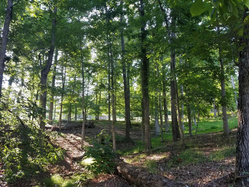 Photo #11: 702 Muskogee Drive