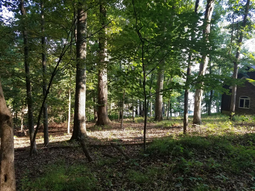 Photo #12: 702 Muskogee Drive