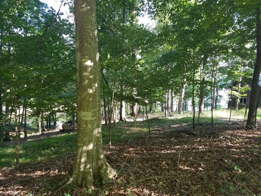 Photo #14: 702 Muskogee Drive