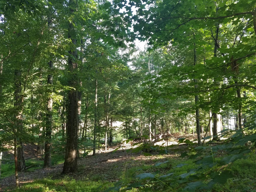 Photo #16: 702 Muskogee Drive