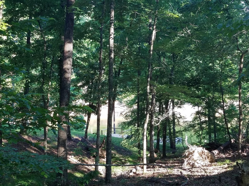 Photo #23: 702 Muskogee Drive