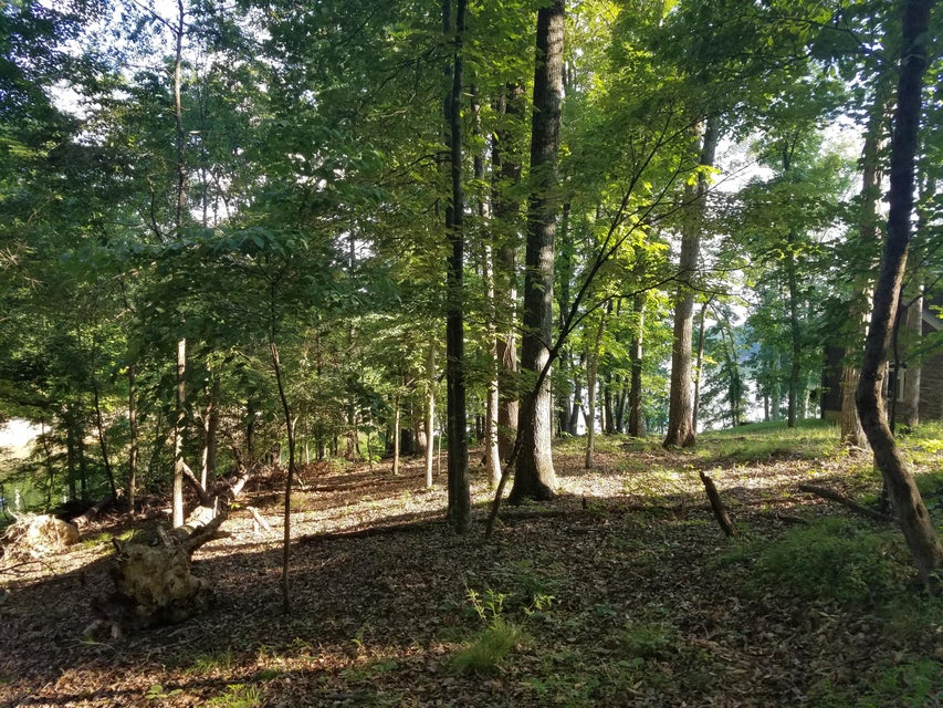 Photo #24: 702 Muskogee Drive