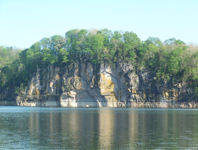 Photo #34: 702 Muskogee Drive