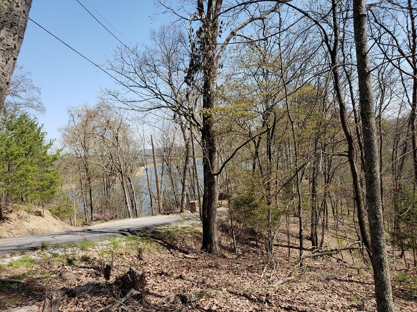 Photo #1: 856 Wilderness Drive