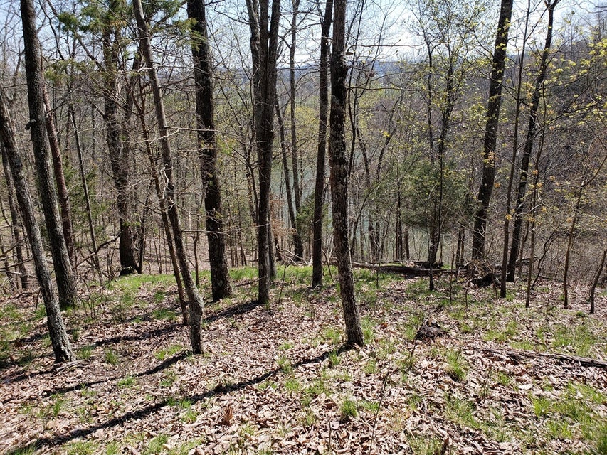 Photo #22: 856 Wilderness Drive