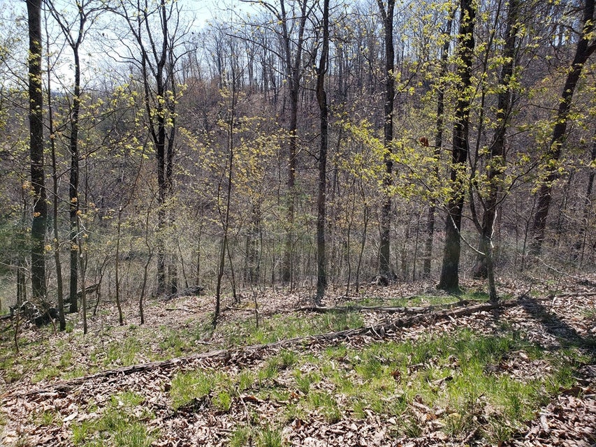 Photo #24: 856 Wilderness Drive