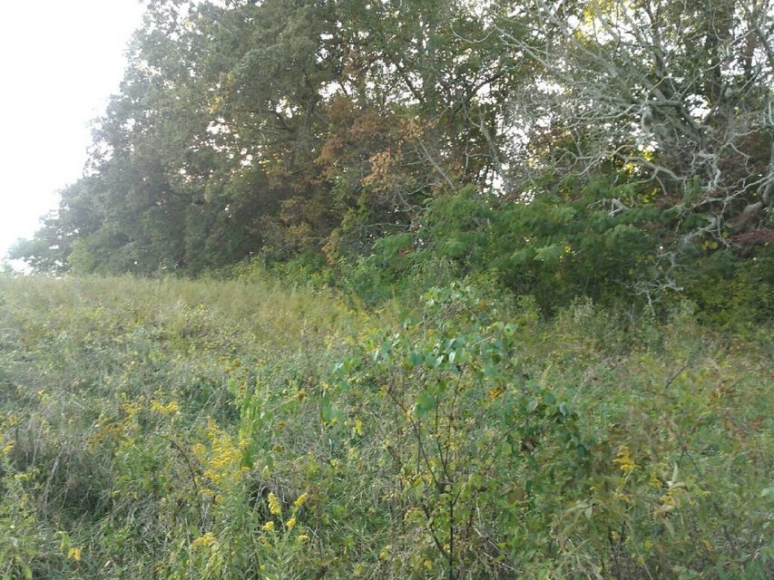 Photo #1: Lot 12 Redbird Lane
