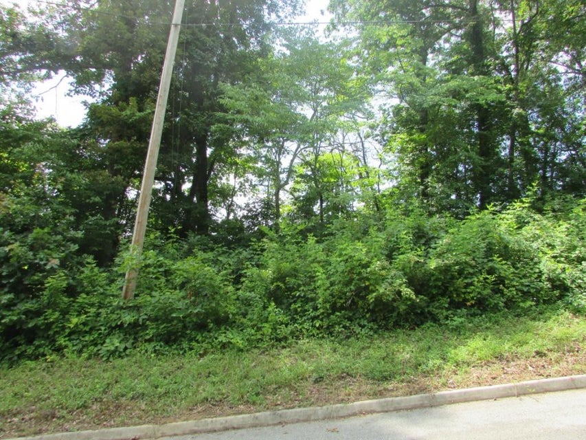Photo #6: Lot 12 Redbird Lane