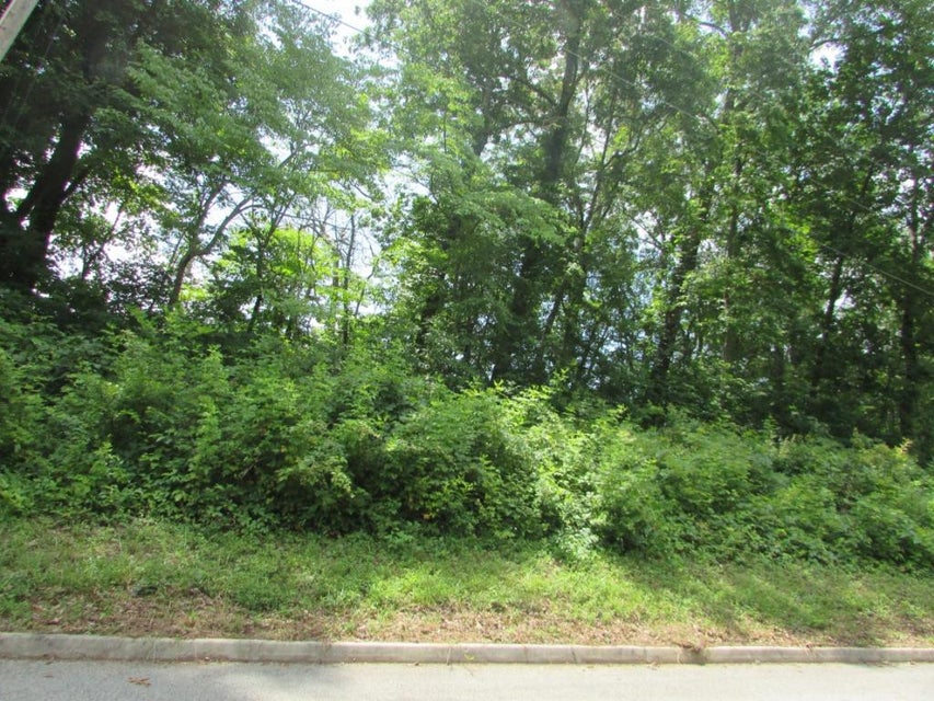 Photo #7: Lot 12 Redbird Lane