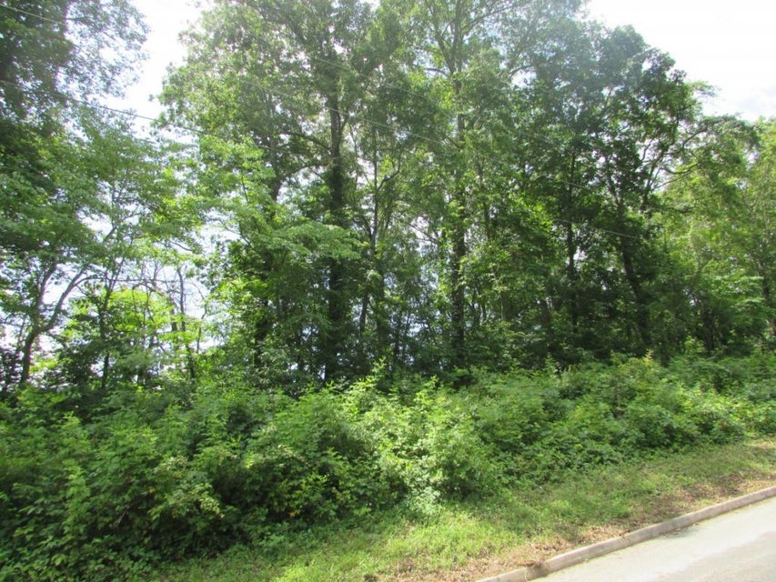 Photo #8: Lot 12 Redbird Lane