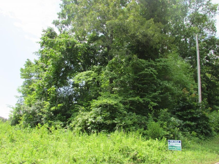 Photo #9: Lot 12 Redbird Lane