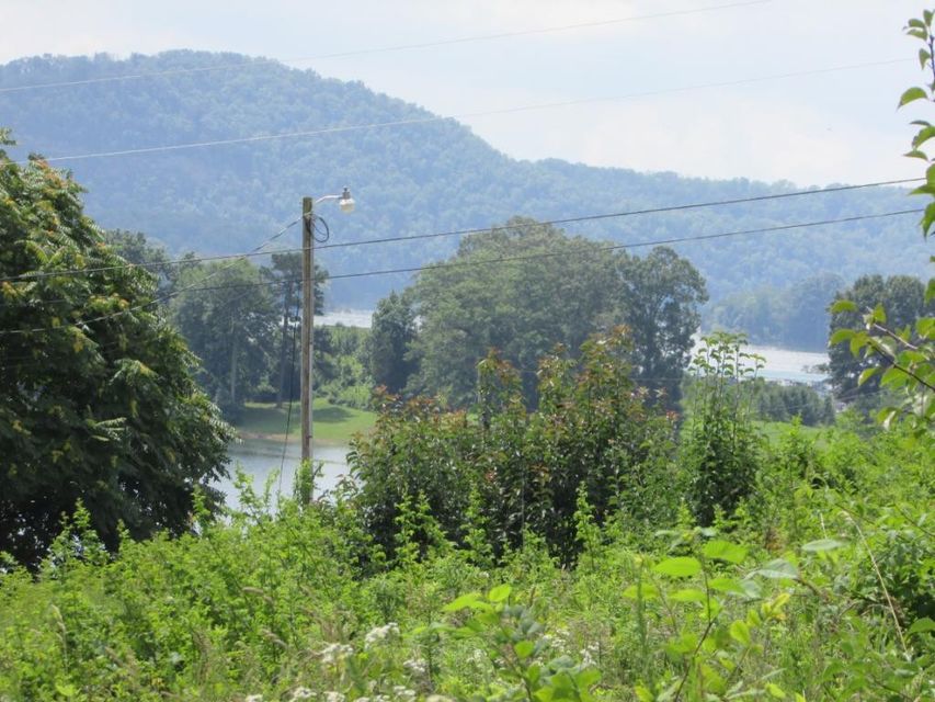 Photo #14: Lot 12 Redbird Lane