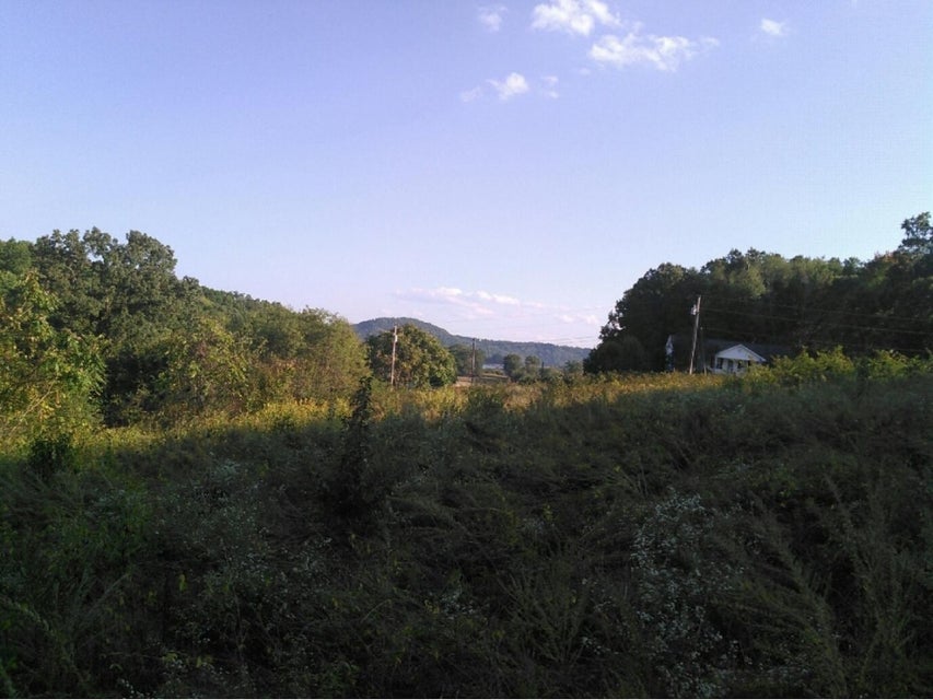 Photo #15: Lot 12 Redbird Lane
