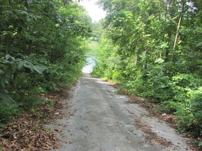 Photo #16: Lot 12 Redbird Lane