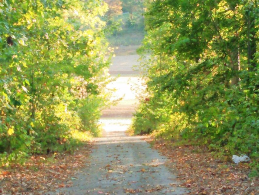 Photo #17: Lot 12 Redbird Lane