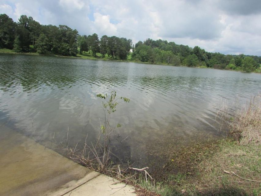 Photo #19: Lot 12 Redbird Lane