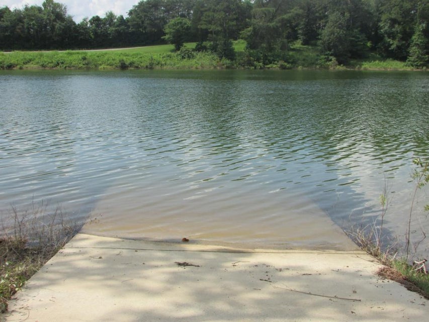 Photo #20: Lot 12 Redbird Lane