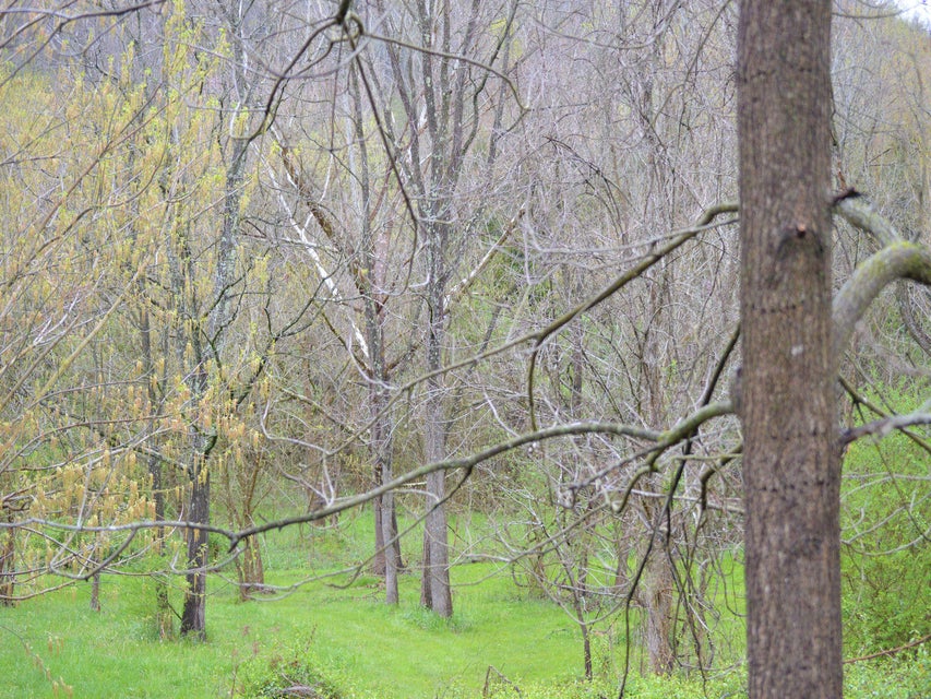 Photo #3: 3605 Kingsport Highway