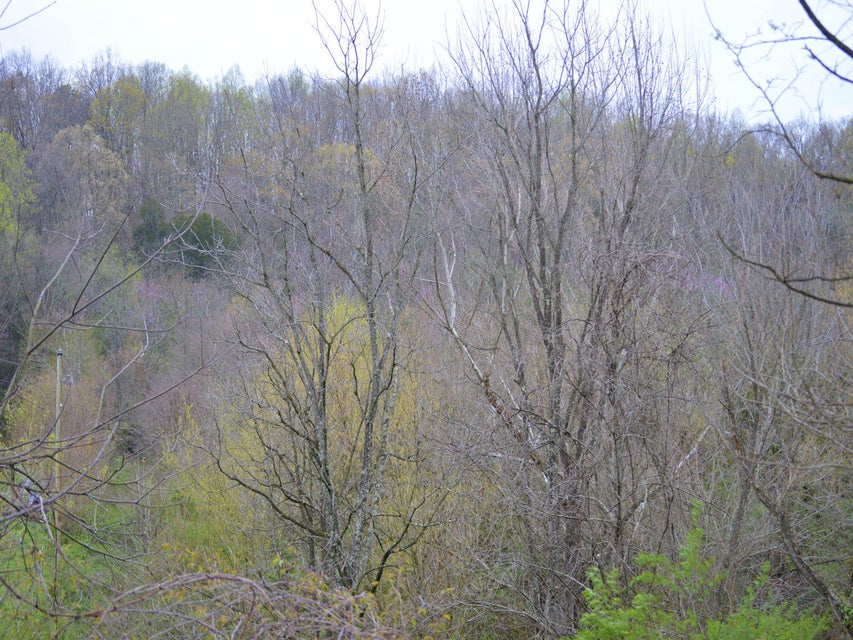 Photo #7: 3605 Kingsport Highway