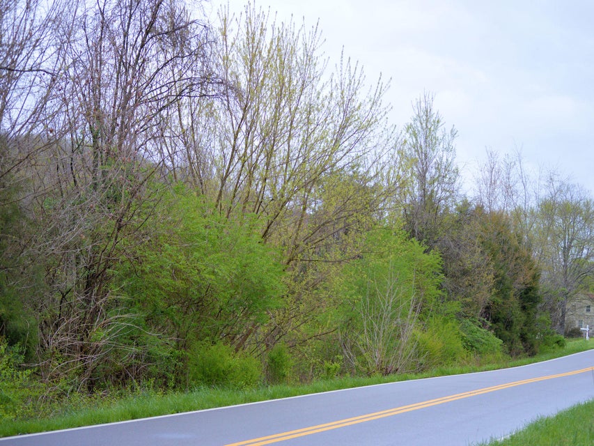 Photo #5: 3605 Kingsport Highway