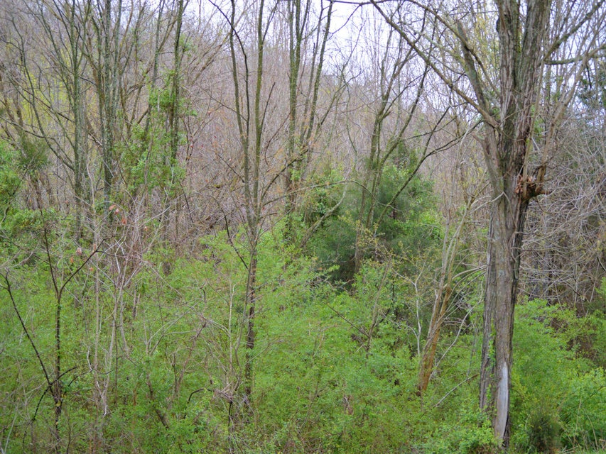 Photo #6: 3605 Kingsport Highway